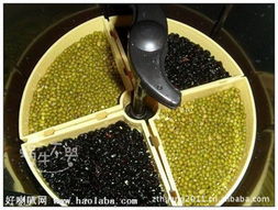永康市健龍健身器材廠 專業打造多樣化健身器材解決方案